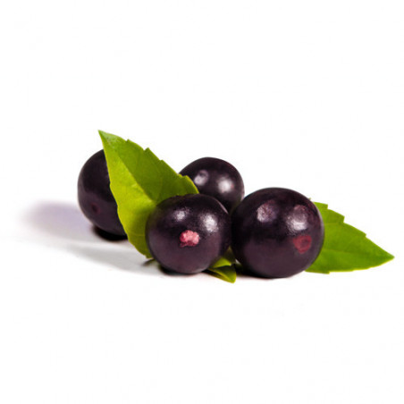 Berg’s Chewable Vitamin C Complex