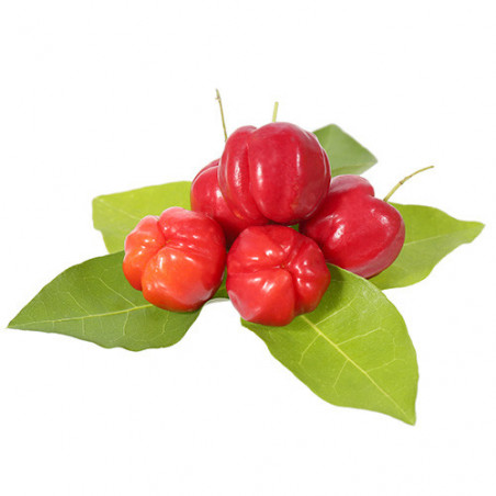 Berg’s Chewable Vitamin C Complex