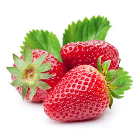 Berg’s Chewable Vitamin C Complex